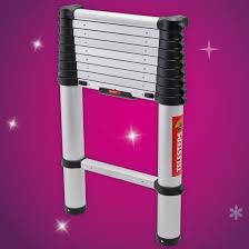 Telesteps Telescopic Ladder 3m